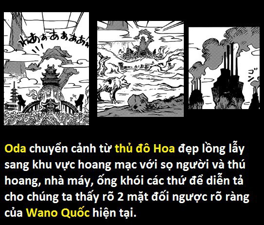 Một nhân vật siêu khủng sở hữu trái ác quỷ khủng long cổ đại mới xuất hiện - One Piece tạm dừng sau nửa tháng nữa - Ảnh 20.