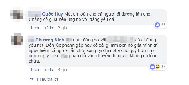 Chuyện những đàn chó khốn khổ: Đu bám trên yên xe, cùng chủ... drift qua mọi nẻo đường - Ảnh 5.