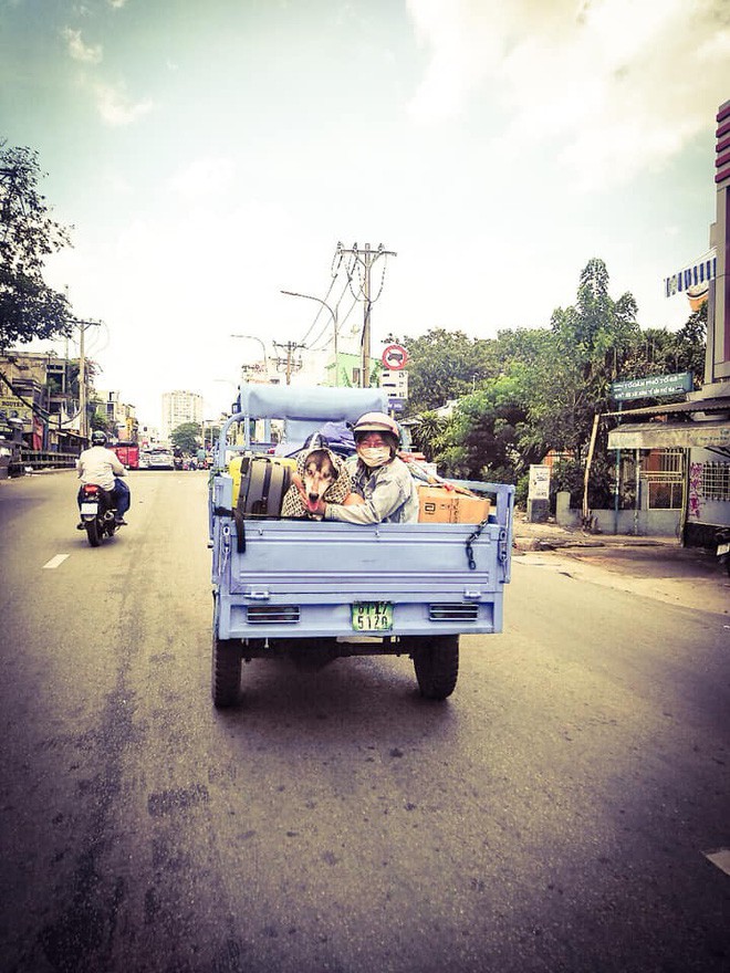 Không thể éo le hơn: Ôm boss ngồi thùng xe để chuyển nhà, cô bạn dễ thương bị nhầm là... trộm chó - Ảnh 2.