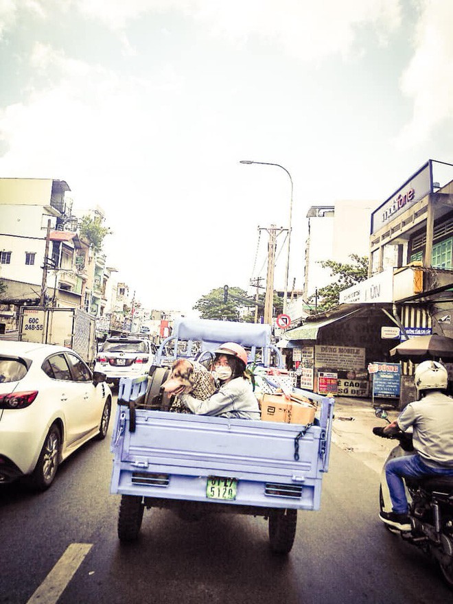 Không thể éo le hơn: Ôm boss ngồi thùng xe để chuyển nhà, cô bạn dễ thương bị nhầm là... trộm chó - Ảnh 3.