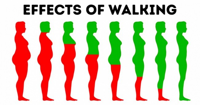 Đi bộ 15-30 phút/ngày: 10 tác động kỳ diệu lên cơ thể mà nếu không xem, bạn sẽ không tin - Ảnh 1.