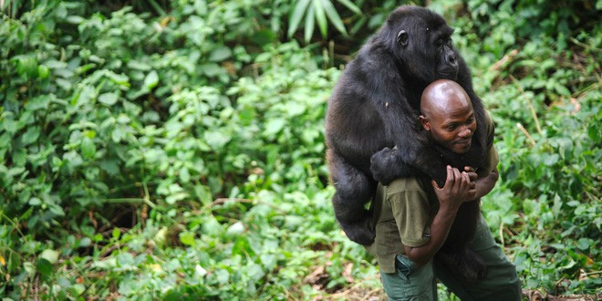 Ghé thăm khu vườn tuyệt diệu và nguy hiểm bậc nhất châu Phi: Virunga - Ảnh 9.