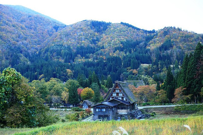 Cuộc sống yên bình của người dân trong 150 ngôi nhà mái dốc thuộc ngôi làng đẹp nhất Nhật Bản - Ảnh 7.