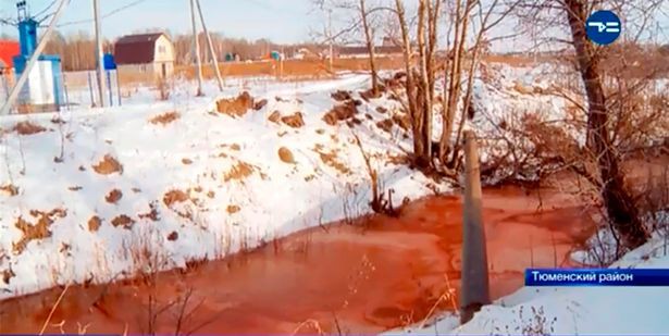 Bí ẩn dòng sông đột nhiên đỏ như màu máu: Người dân Nga hoang mang, nhà khoa học kinh ngạc - Ảnh 4.