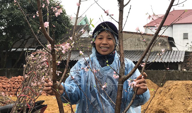 Dòng người đứng đường dầm mưa bán đào ngày cận Tết - Ảnh 5.