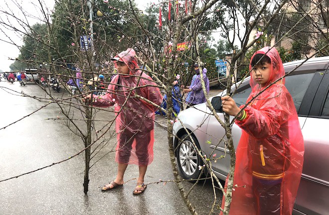 Dòng người đứng đường dầm mưa bán đào ngày cận Tết - Ảnh 9.