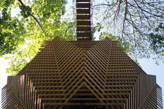 Độc đáo ngôi nhà gỗ trên cây sồi trăm tuổi - Ảnh 3.