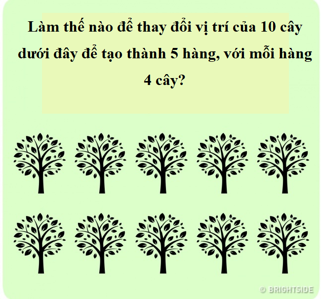 Những câu đố hóc búa khiến bạn thấy nhiều khi thông minh thôi là chưa đủ - Ảnh 6.