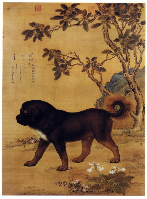 Phát hiện Án tìm chó trong mộ cổ và sở thích ít người biết của Tần Thủy Hoàng, Hán Vũ Đế - Ảnh 3.