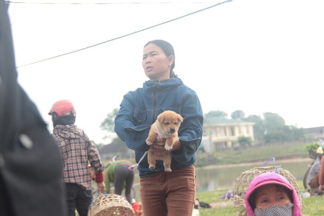 Thích thú đến chợ chó con ở Nghệ An vào ngày 29 Tết - Ảnh 12.