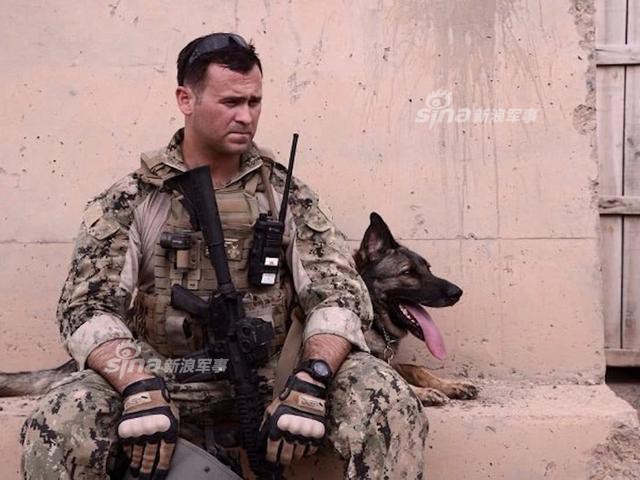 Độc đáo công tác huấn luyện chó quân sự - Ảnh 2.