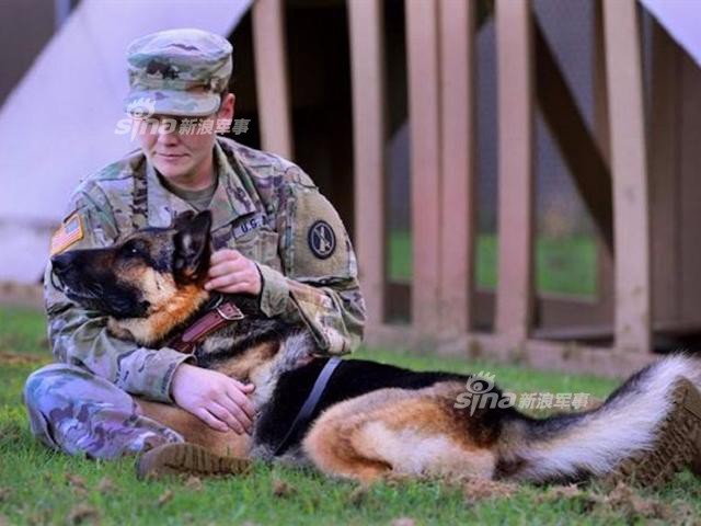 Độc đáo công tác huấn luyện chó quân sự - Ảnh 3.