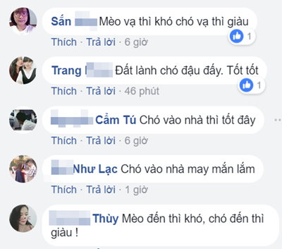 Chó lạ chạy vào nhà đêm giao thừa, dân mạng nháo nhác hỏi nhau điềm gở hay may - Ảnh 2.