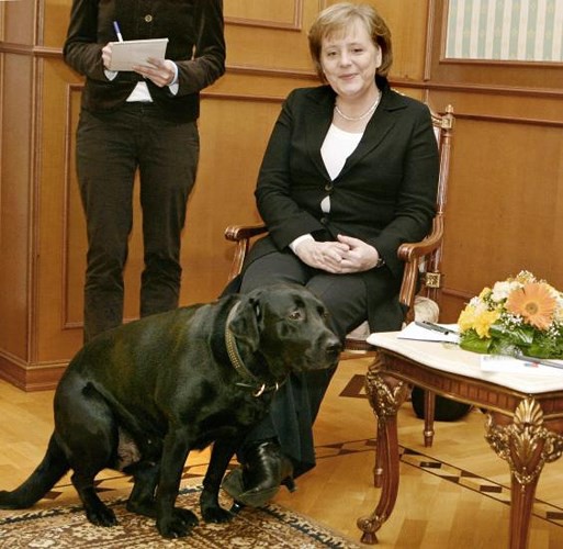 Ảnh: Niềm đam mê chó bất tận của Tổng thống Nga Putin - Ảnh 6.