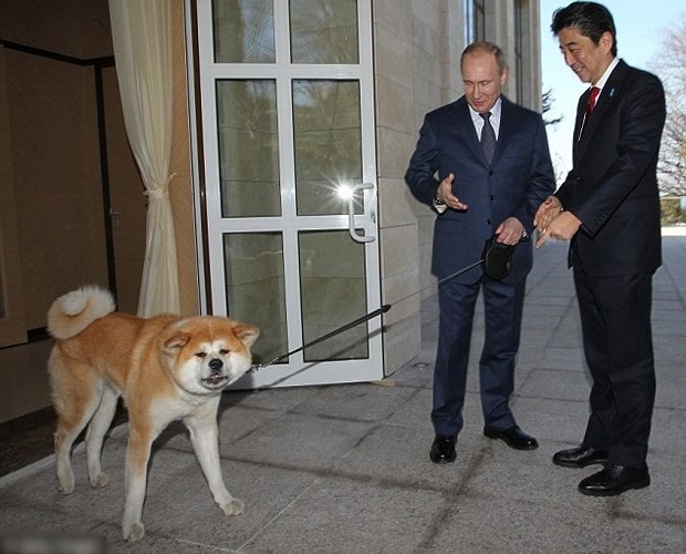 Ảnh: Niềm đam mê chó bất tận của Tổng thống Nga Putin - Ảnh 7.