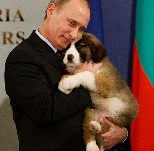 Ảnh: Niềm đam mê chó bất tận của Tổng thống Nga Putin - Ảnh 9.