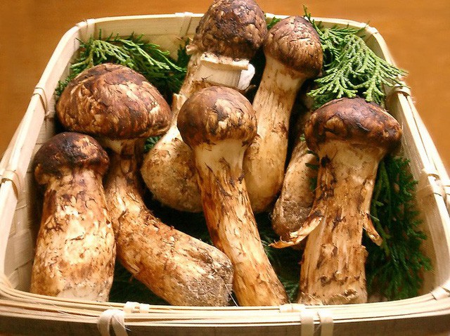 Gần 1,3 triệu cho 1 hộp 5 miếng, đây là món snack khoai tây chiên đắt nhất thế giới - Ảnh 5. Gần 1,3 triệu cho 1 hộp 5 miếng, đây là món snack khoai tây chiên đắt nhất thế giới - Ảnh 5.