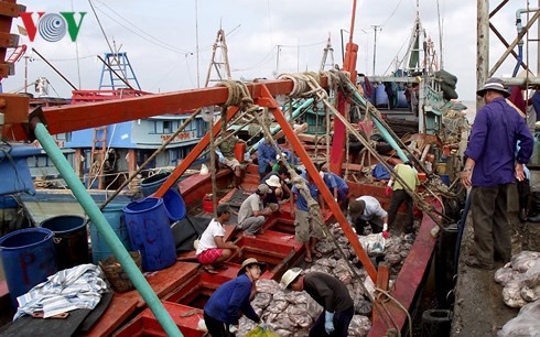 Ngư dân trúng “lộc biển” sau những chuyến ra khơi đầu năm - Ảnh 3.