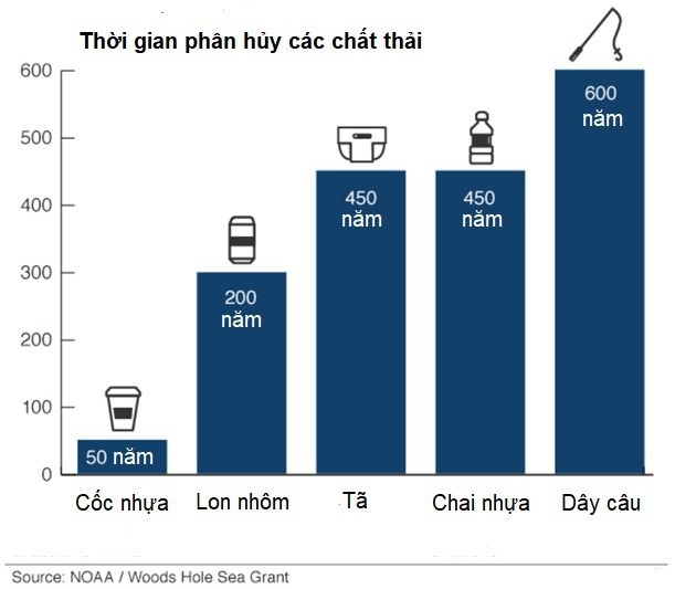 Cùng tìm hiểu về giải pháp giúp thế giới giải quyết nạn ô nhiễm chất thải plastic - Ảnh 4.