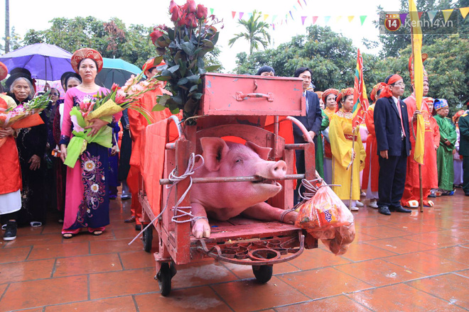 Hình ảnh ông Ỉ tại lễ hội chém lợn ở Ném Thượng, Bắc Ninh.