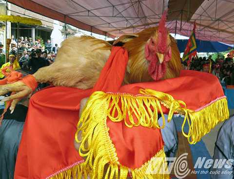 Ông Dương Trung Quốc: Lãnh đạo huyện không thề ở lễ hội Minh thề là có lý - Ảnh 1.