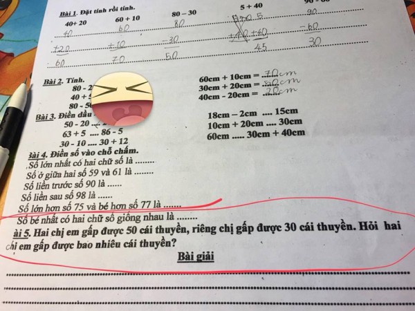 Dân mạng tranh cãi ‘nảy lửa’ về bài toán ‘hại não’ của học sinh lớp 1 - Ảnh 2.