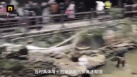 Trung Quốc: Chen lấn xem biểu diễn lễ hội làm sập cả cầu - Ảnh 1.