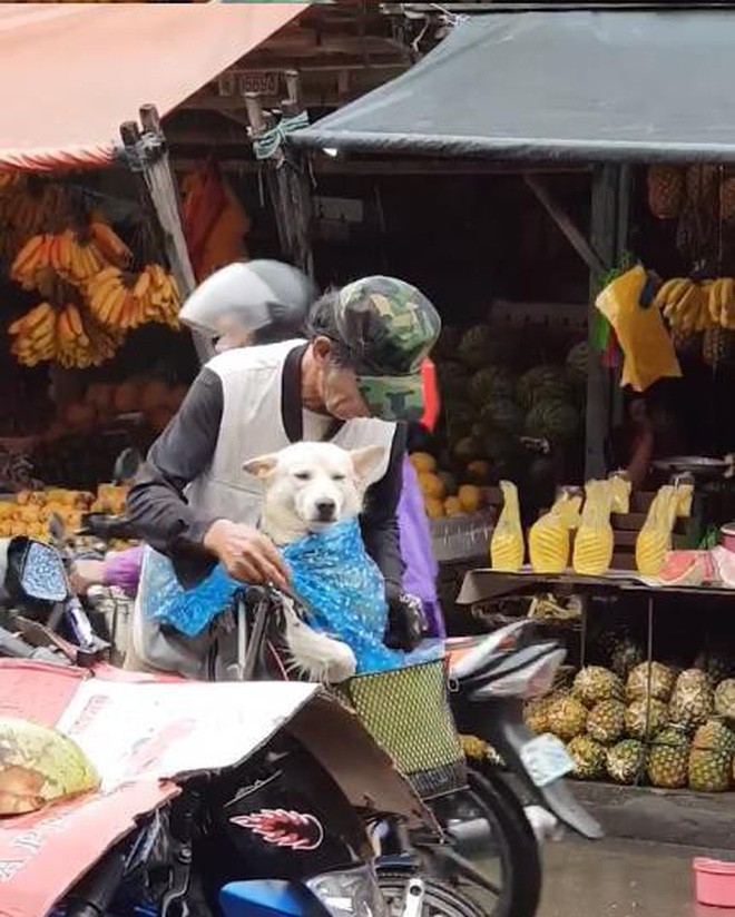 The rain was wet, and the old man still had his dog put on his hat first: Look so good! - Photo 2.