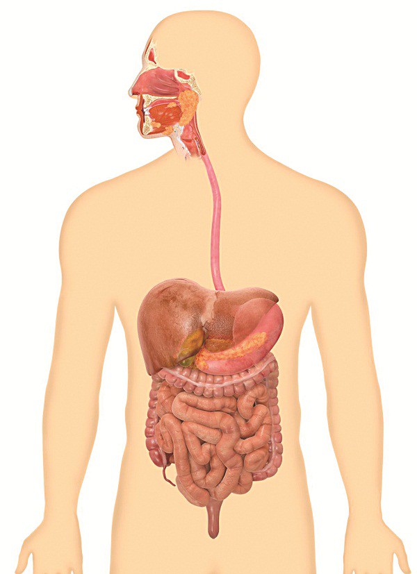 Đừng truyền dịch, hãy cố gắng ăn! - Ảnh 1.