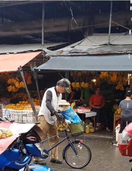 The rain was wet, and the old man still had his dog put on his hat first: Look so good! - Photo 4.