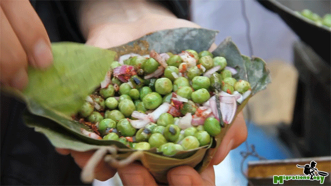 Món đậu Hà Lan dùng lá cây để xúc ăn khiến nhiều du khách ở Ấn Độ vô cùng thích thú - Ảnh 8.