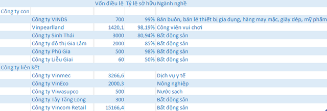 Sau 7 năm được phó chủ tịch Vingroup Nguyễn Việt Quang dẫn dắt, doanh thu công ty này tăng 4.500 lần, lợi nhuận tăng 1.400 lần, dù chỉ có 10 nhân viên nữ - Ảnh 4.