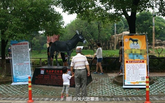 Thả chó con làm mồi cho trăn ngay trước mắt du khách, sở thú Trung Quốc khiến cư dân mạng phẫn nộ - Ảnh 5.