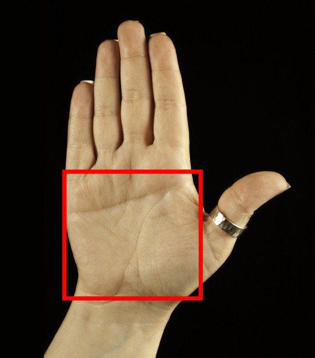 Nếu c&oacute; một trong những đặc điểm n&agrave;y, bạn thuộc nh&oacute;m 1 - 20% những người đặc biệt nhất thế giới - Ảnh 2.