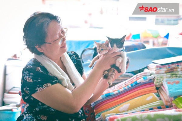 Chuyện những ‘bà khùng’ gần 20 năm cưu mang mèo hoang ở Sài Gòn - Ảnh 1.