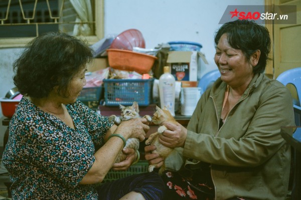Chuyện những ‘bà khùng’ gần 20 năm cưu mang mèo hoang ở Sài Gòn - Ảnh 13.