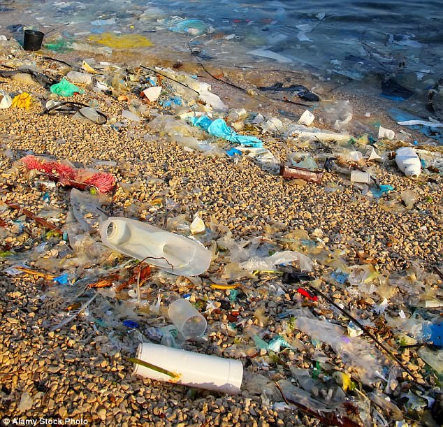 Bi kịch dưới đại dương: Cá voi đang ăn hàng trăm, hàng ngàn mảnh rác nhựa mỗi ngày - Ảnh 1.