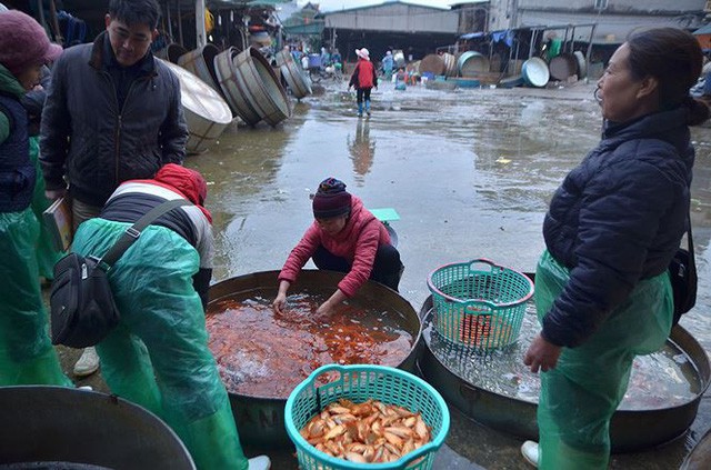  Đỏ rực chợ cá chép lớn nhất Thủ đô trước ngày ông Táo  - Ảnh 13.