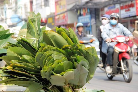 Chợ lá dong nửa thế kỷ ở Sài Gòn nhộn nhịp ngày giáp Tết - Ảnh 8.