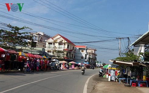  Sầu riêng được mùa được giá, nhiều nhà vườn có lãi cả tỷ đồng  - Ảnh 1.