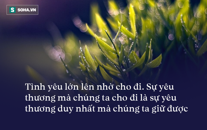 Cho cậu bé ăn xin bát mì, nửa tháng sau, 1 sự cố xảy ra đã thay đổi cuộc đời chủ quán - Ảnh 3.