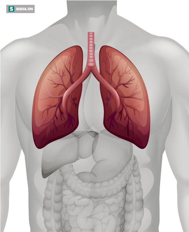 Dấu hiệu điển hình của ung thư phổi: Biết sớm để giành lại cơ hội sống cao nhất là 49%  - Ảnh 1.