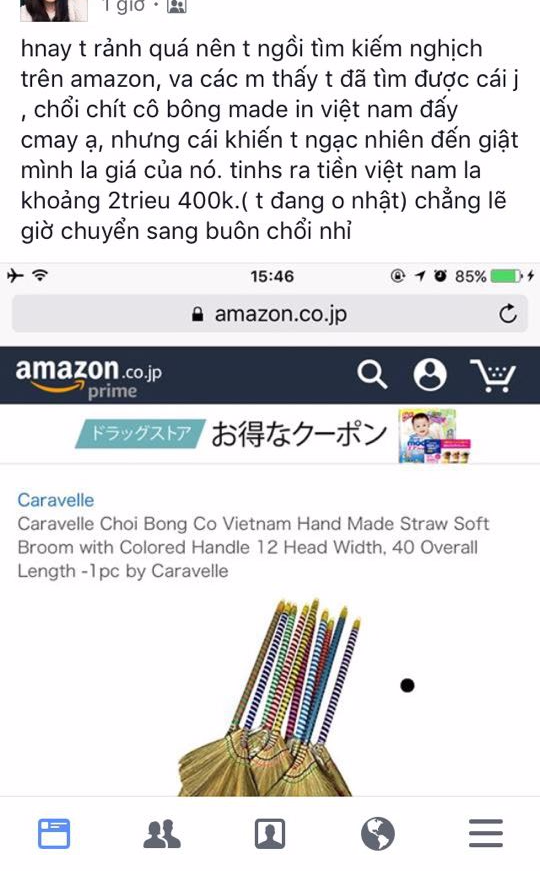 Chổi bông giá 2 triệu, hoa mai giả tận 15 triệu còn lá chuối, bèo tây thành đặc sản, đích thị là hàng Việt bán ở Nhật Bản rồi! - Ảnh 1.