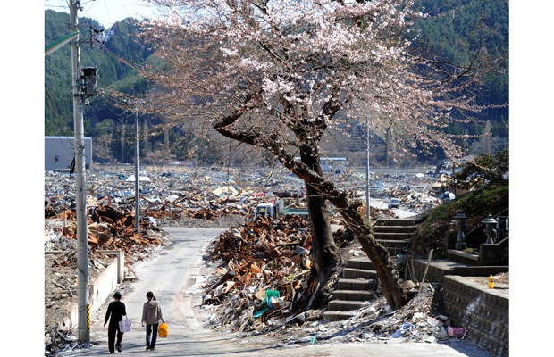 7 năm sau thảm họa sóng thần tàn phá Nhật Bản: Từ trận động đất kinh hoàng đến sự hồi phục kì diệu - Ảnh 9.