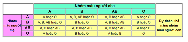 Tự lấy bản thân làm ví dụ trong giờ học khoa học, cô sinh viên nhận ra sự thật động trời về người cha ruột của mình - Ảnh 3.