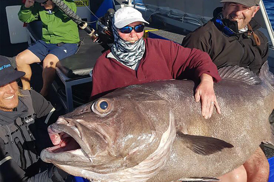 Cụ bà 68 tuổi câu được cá quái vật gần 130 kg - Ảnh 1.