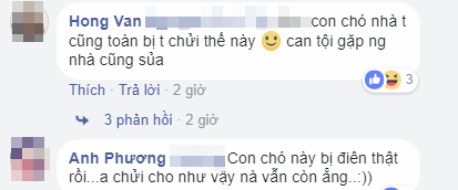 CLIP: Gân cổ cãi nhau với... chó, bé trai khiến dân mạng không nhịn được cười - Ảnh 2.