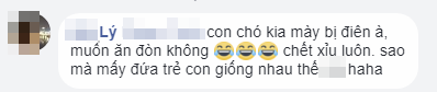 CLIP: Gân cổ cãi nhau với... chó, bé trai khiến dân mạng không nhịn được cười - Ảnh 3.