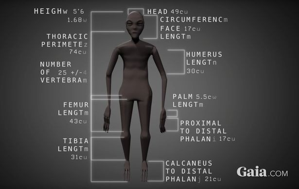 Giải mã bí ẩn xác ướp có 3 ngón tay và chân, nghi là người ngoài hành tinh ở Peru - Ảnh 4.