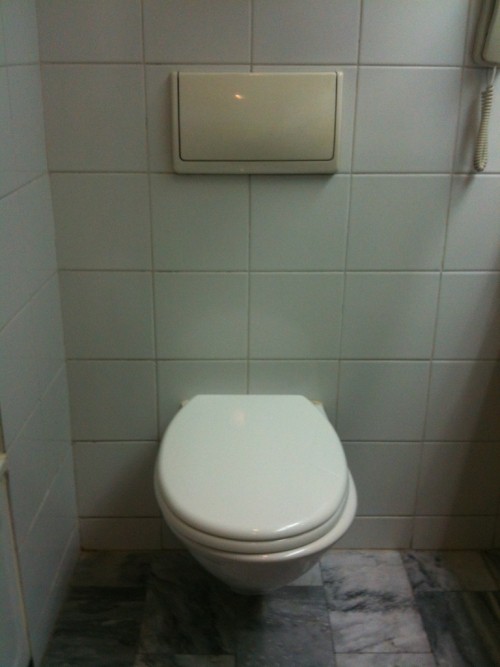 Ngồi nghịch điện thoại 30 phút trong toilet, nam thanh niên bị liệt hoàn toàn - Ảnh 2.